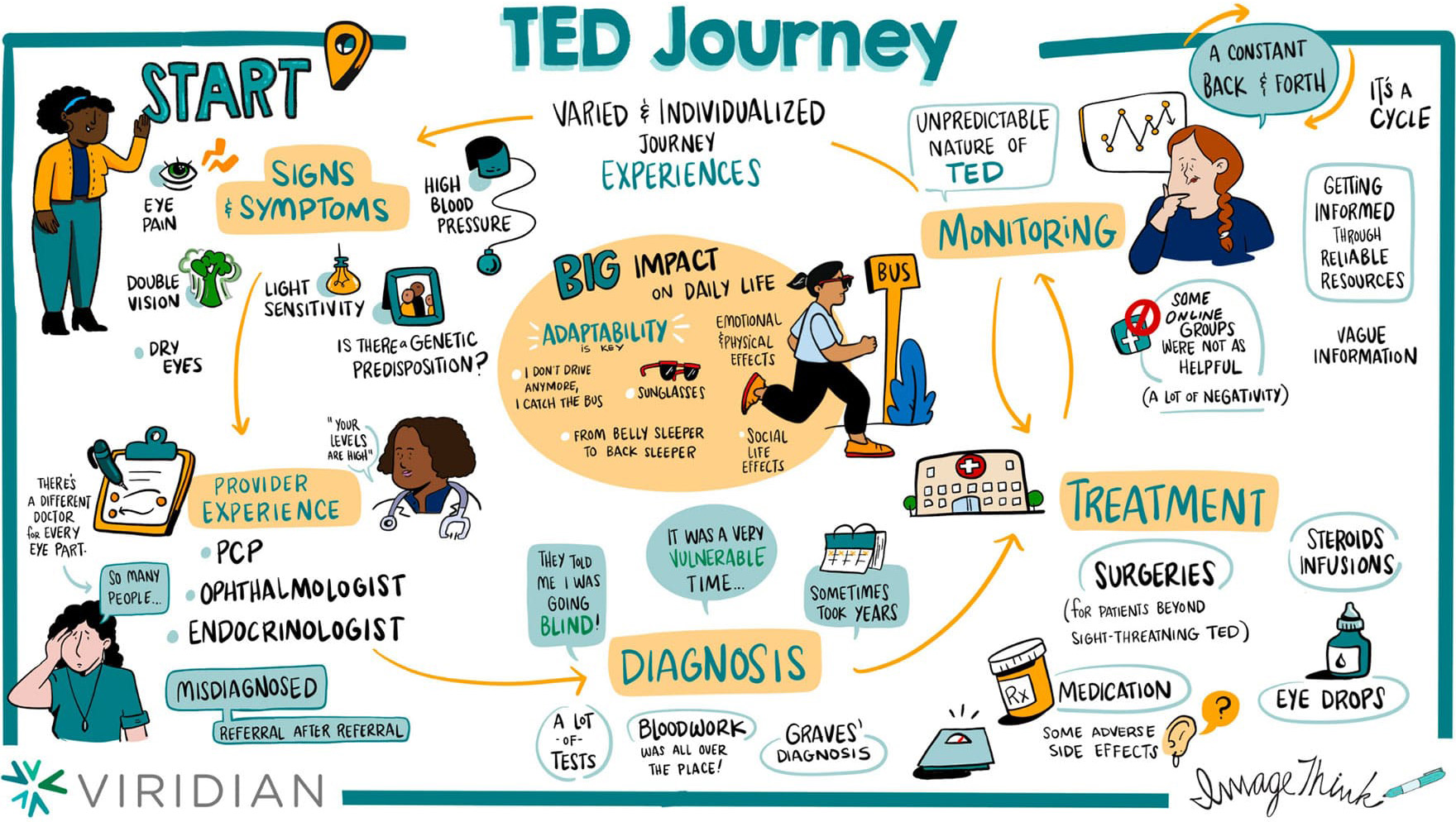 Graphic displaying the TED patient journey including initial signs and symptoms, provider experiences, diagnosis, treatment, and monitoring.